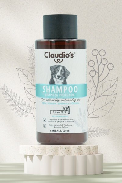 Claudio's Limpieza Profunda Claudio's Limpieza Profunda