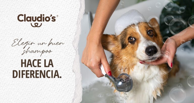 Lee más sobre el artículo Impacto de los shampoos en la salud y pelaje de los perros
