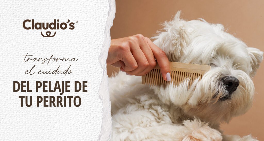 Lee más sobre el artículo Guía completa para el cuidado de pelajes caninos: tipos y consejos prácticos