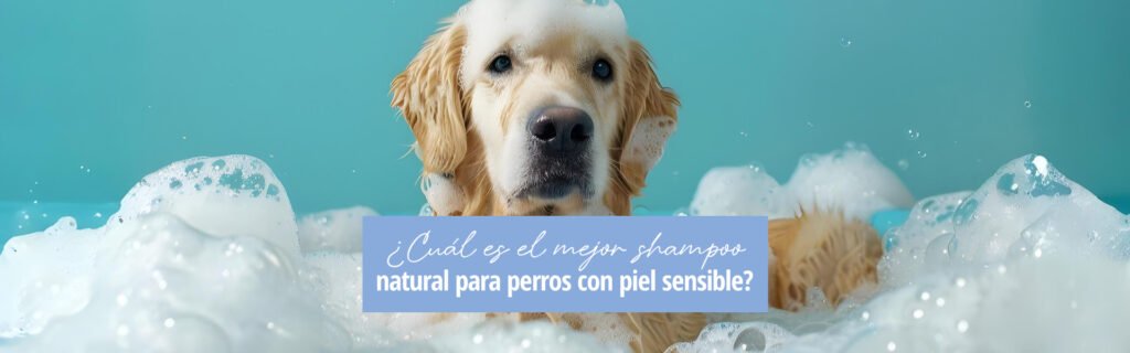Lee más sobre el artículo ¿Cuál es el mejor shampoo natural para perros con piel sensible?