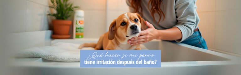 Lee más sobre el artículo ¿Qué hacer si mi perro tiene irritación después del baño?