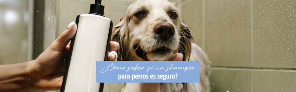 Lee más sobre el artículo ¿Cómo saber si un shampoo para perros es seguro?