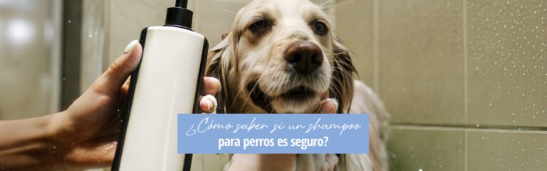 Lee más sobre el artículo ¿Cómo saber si un shampoo para perros es seguro?