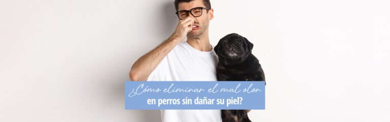 Lee más sobre el artículo ¿Cómo eliminar el mal olor en perros sin dañar su piel?